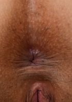 Luna Leve in latinas, Luna Leve (lun008) ATK Exotics: Luna Leve (Luna Leve in latinas)