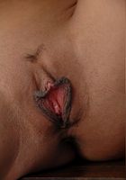 ATK Exotics: Layla Storm (Layla Storm in upskirts and panties)