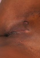 ATK Exotics: Malia (Malia in dime pieces)