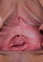 ATK Exotics: Maria Jade (Maria Jade in latinas)