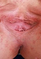 ATK Galleria: Mckenzie Mae (McKenzie Mae is a pigtailed vixen in her polka dot bikini)