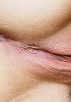 Melosa in latinas, Melosa (mel010) ATK Exotics: Melosa (Melosa in latinas)