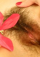 Melinda in scary hairy, Melinda (mel058) ATK Petites: Melinda (Melinda in scary hairy)