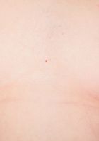 ATK Galleria: Melody Wilde (Horny babe Melody teases and makes her pussy gape.)