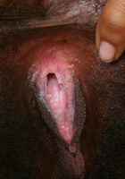 Miltie in black women, Miltie (mil020) ATK Exotics: Miltie (Miltie in black women)