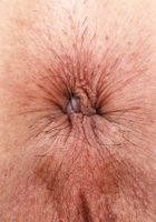 Mira Luv from ATK Exotics