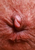 Mira Luv from ATK Exotics