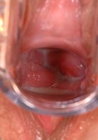 ATK Archives: Monet (Monet in toys)