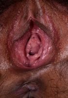 ATK Natural & Hairy: Nenetl Avril (Nenetl Avril in exotic and hairy)