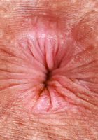 Nico Luva invites you to come a little closer, Nicole Luva (nic101) ATK Exotics: Nicole Luva (Nico Luva invites you to come a little closer)