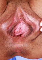 ATK Exotics: Nina Nieves (Nina Nieves Nurse Costume)