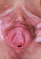 Ophelia Fae from ATK Galleria