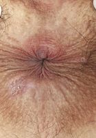 Iris Ivy in exotic and hairy, Iris Ivy (pap001) ATK Natural & Hairy: Iris Ivy (Iris Ivy in exotic and hairy)