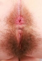 ATK Natural & Hairy: Pearl Sage (Pearl Sage Big Bush Spreads)