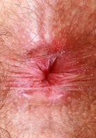 ATK Natural & Hairy: Pearl Sage (Pearl Sage pulls out all the stops)