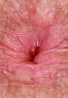 ATK Natural & Hairy: Pearl Sage (Pearl Sage rocks the thigh high socks)