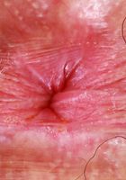 ATK Natural & Hairy: Pearl Sage (Pearl Sage wearing red lingerie)