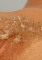 Blondie Pedrita getting pounded, Pedrita (ped001) ATK Archives: Pedrita (Blondie Pedrita getting pounded)