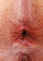 Penelope Woods Nude Upskirt, Penelope Woods (pen030) ATK Exotics: Penelope Woods (Penelope Woods Nude Upskirt)