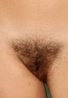 Ponentino from ATK Archives