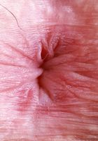 Remi Raw from ATK Petites