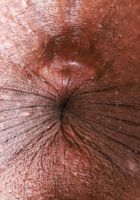 ATK Exotics: Rhae Woods (Rhae Woods slips out of her skirt)