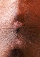 ATK Exotics: Rhae Woods (Rhae Woods can be all your's)