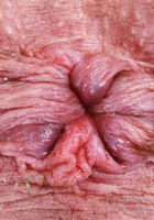 ATK Galleria: Riley Jean (Riley Jean Spreads Her Pink Trimmed Pussy)