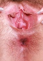 Riley Rose from ATK Petites