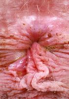 ATK Natural & Hairy: Sahara Skye (Sahara Skye spices it up in her bikini)