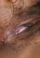 ATK Exotics: Sammi (Hairy black babe Sammi teases with her hairy pussy)