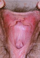 ATK Archives: Sandy (Sandy hairy everywear)