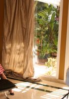 Sativa Verte from ATK Premium