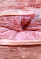 ATK Exotics: Satine Summers (Satine Summers makes overalls look sexy.)