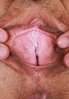 ATK Petites: Satine Summers (Satine Summers is sunshine in yellow)