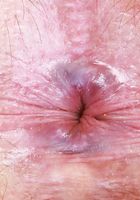 ATK Natural & Hairy: Scout (Scout and her magic bush spreads)