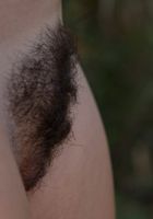 Hairy and Sexy Sequoia makes her debut, Sequoia (seq001) ATK Archives: Sequoia (Hairy and Sexy Sequoia makes her debut)