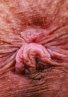 ATK Petites: Serena Hill (Serena Hill Bikini Babe)