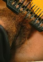 Shasty from ATK Exotics