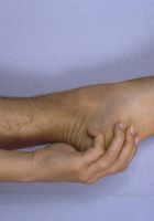 ATK Archives: Shannon (Shannon in amateur)