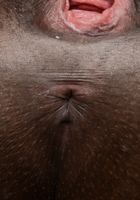 ATK Exotics: Skyy Dreams (Skyy Dreams in black women)