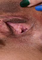 ATK Exotics: Sofia Moon (Sofia Moon in latinas)