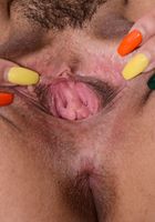 ATK Exotics: Sofia Moon (Sofia Moon in latinas)