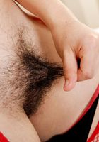 ATK Natural & Hairy: Sol (Sol in exotic and hairy)