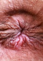 ATK Exotics: Sona Bella (Sona Bella kicks off her heels)