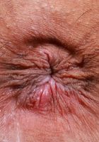 ATK Exotics: Sona Bella (Sona Bella is the girl next door coming to have some fun)