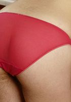 ATK Exotics: Sophia (Sophia in latinas)