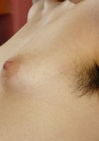 ATK Exotics: Sophia (Sophia in latinas)