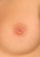 ATK Archives: Sprenda (Sprenda in)