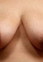 Sunny spreading wide, showing the pink inside., Sunny (sun030) ATK Natural & Hairy: Sunny (Sunny spreading wide, showing the pink inside.)